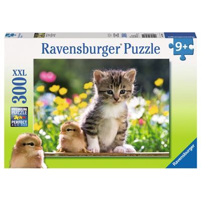 Spiel 24260.0