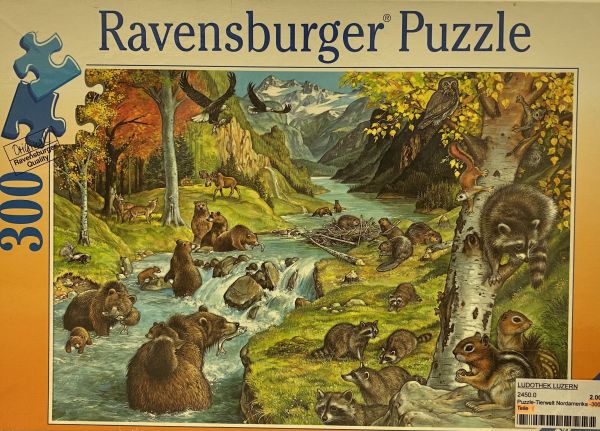 Spiel 24500.0